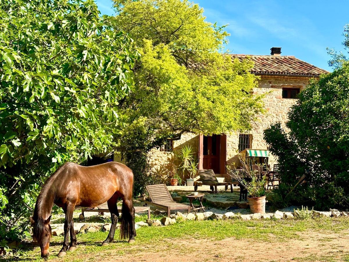 Accommodation Rancho Riu de Gaia Spain Retreat