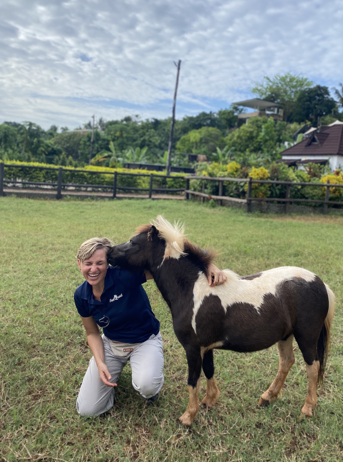 happy horse pony zanzibar fun horse guided empowerment