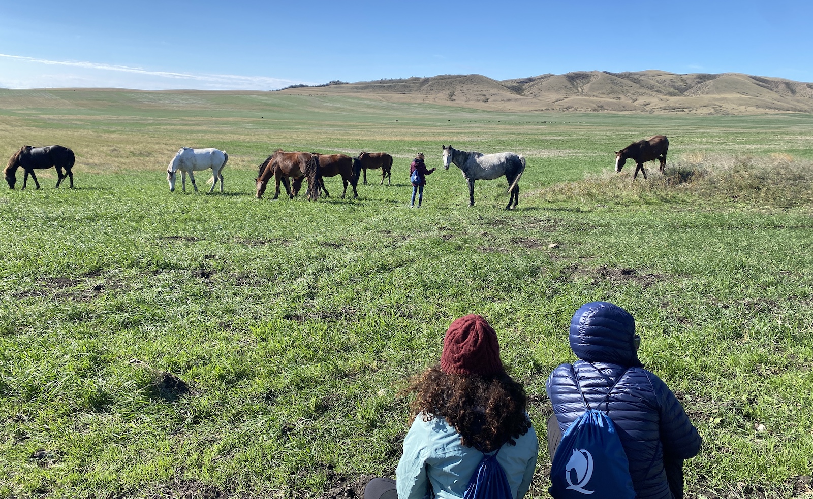 Horse retreat ladies georgia personal development yoga