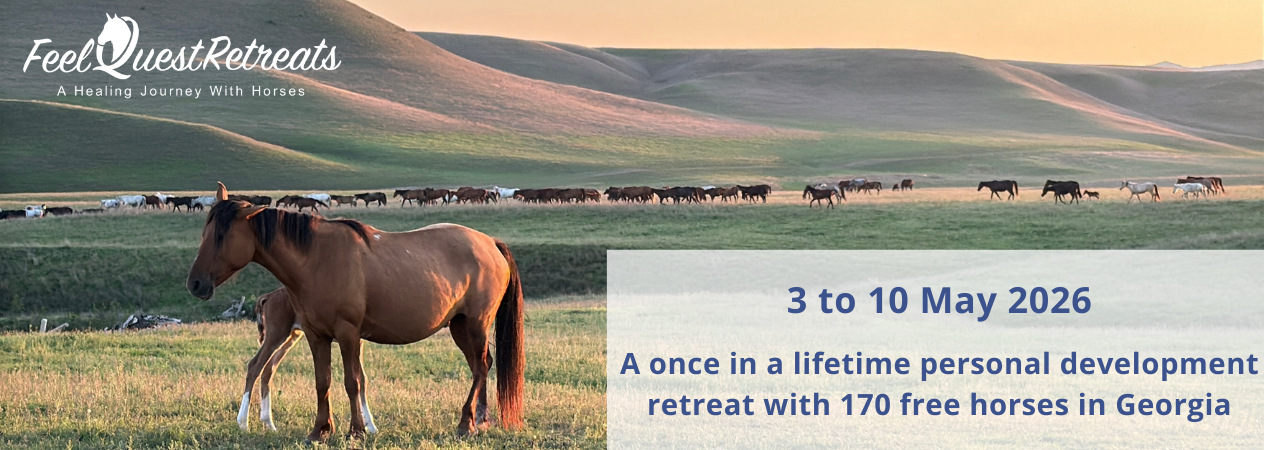 header with text georgia 2026