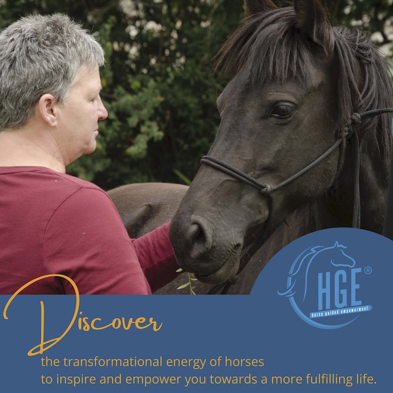 Mindfulness Gifts – Equine Guided Growth