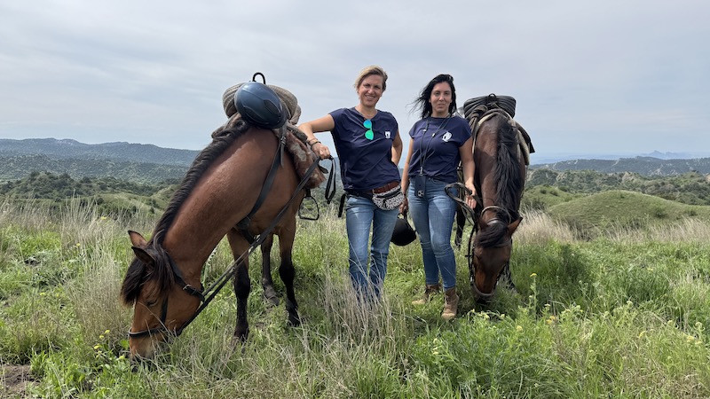horse riding retreat georgia horsemanship