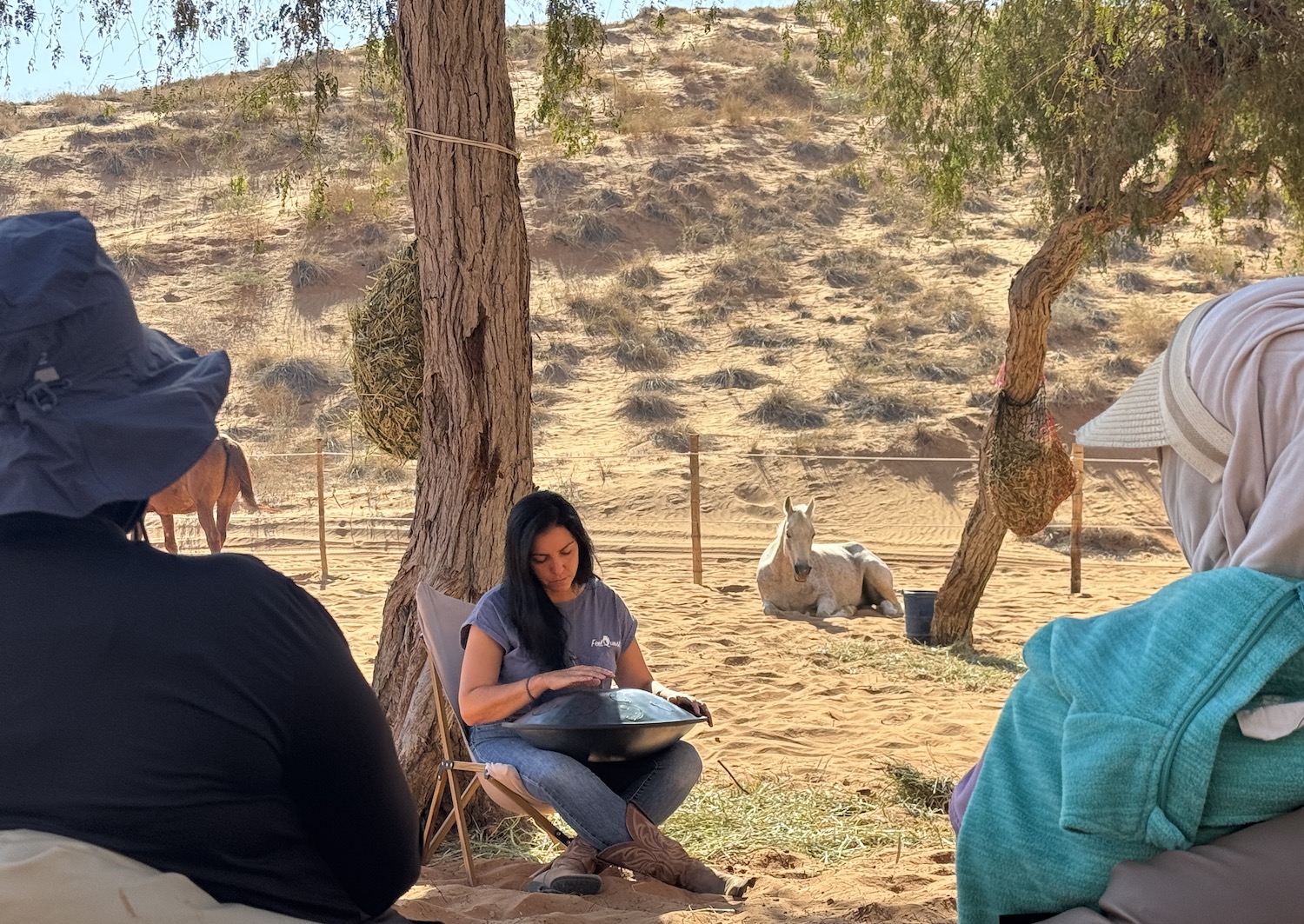 Sound healing handpan horses trees desert sand dune uae retreat 