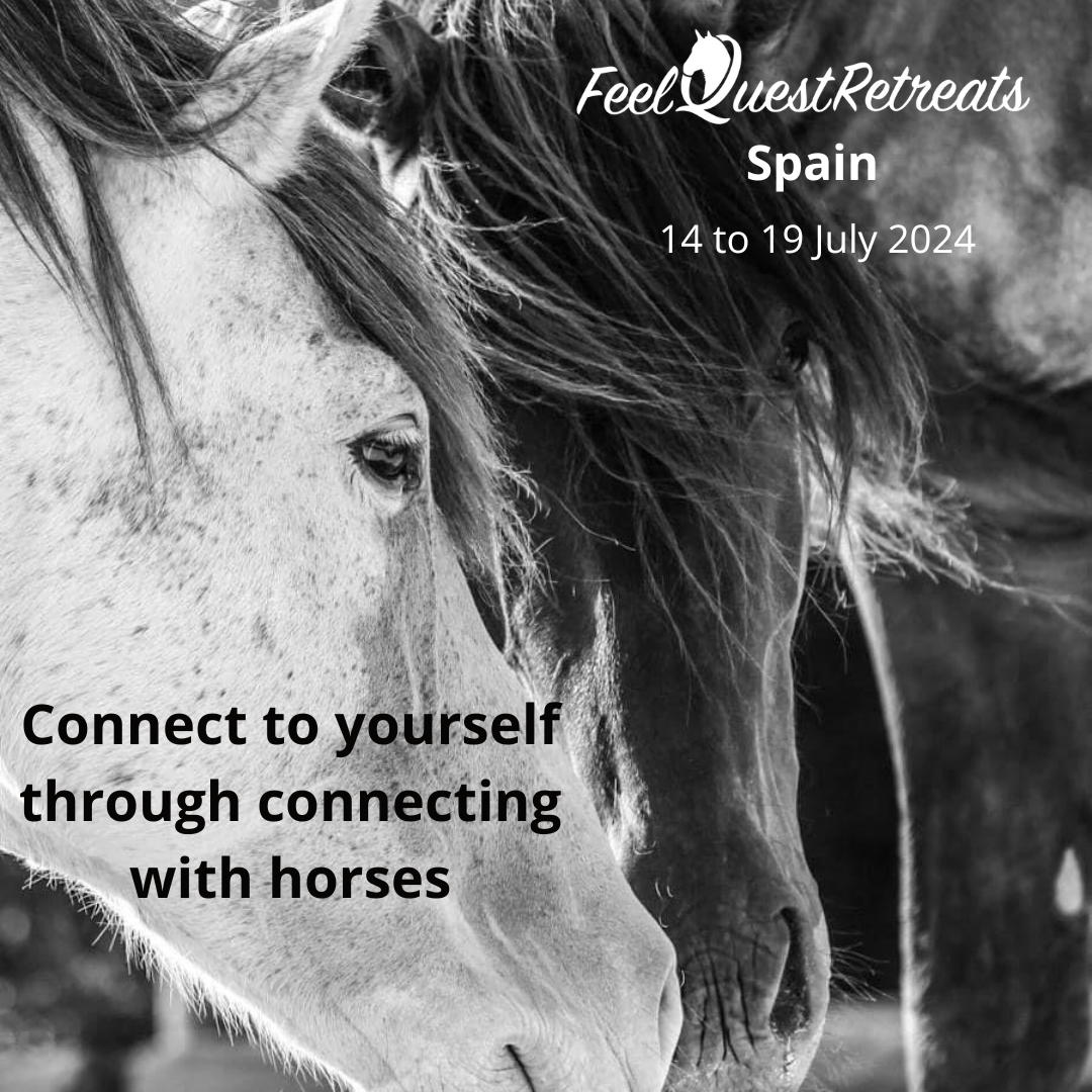 feelquest-spain-horse-connection-women