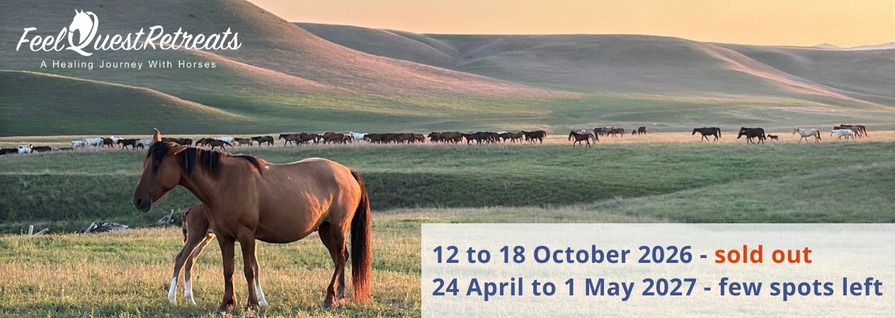Women's horse retreat Georgia April 2027 wild horses Women's horse retreat Georgia April 2027 wild horses