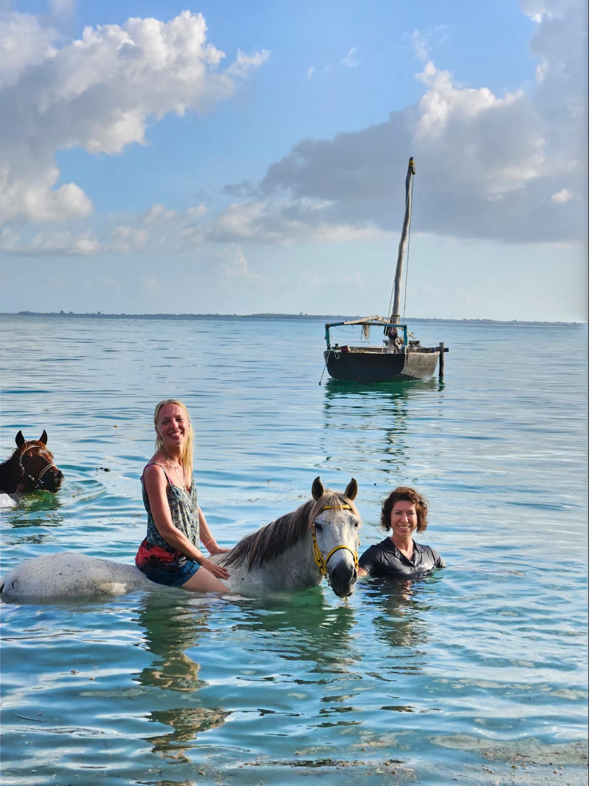 Retreats for women swimming with horses sea Retreats for women swimming with horses sea
